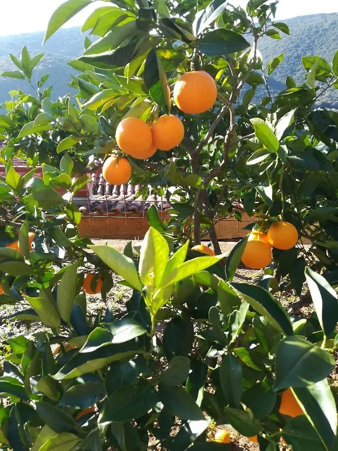Tangerine Apartment Rabac
