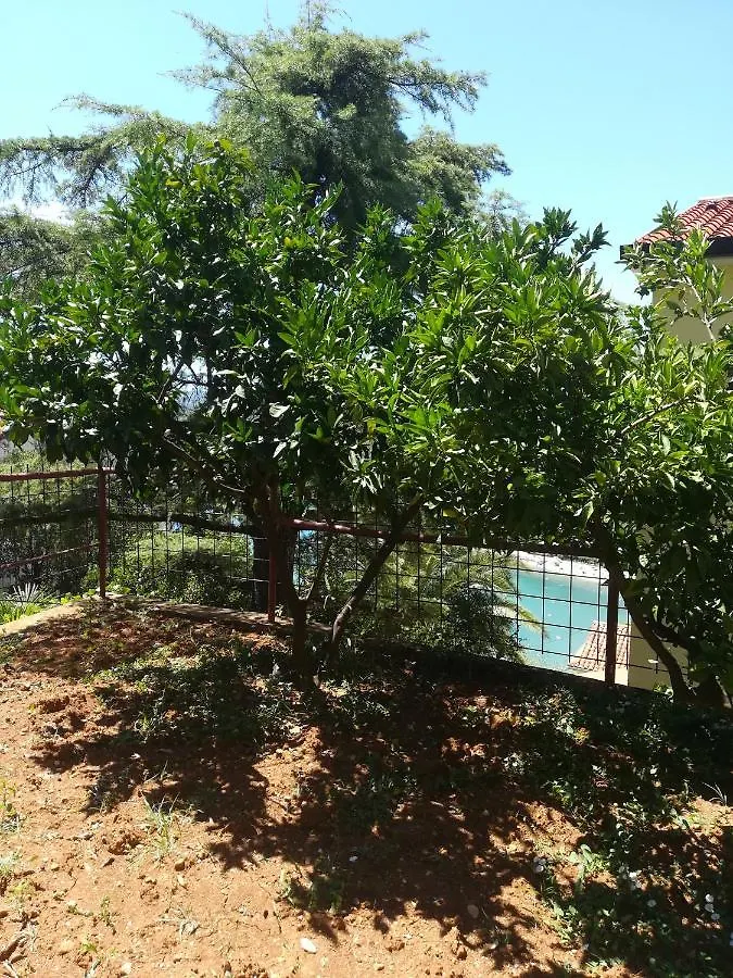 Tangerine Apartment Rabac