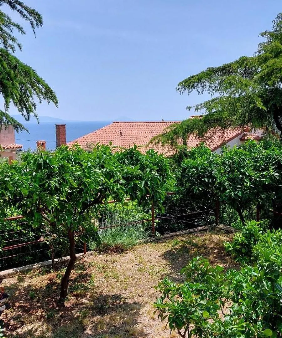 Tangerine Apartment Rabac
